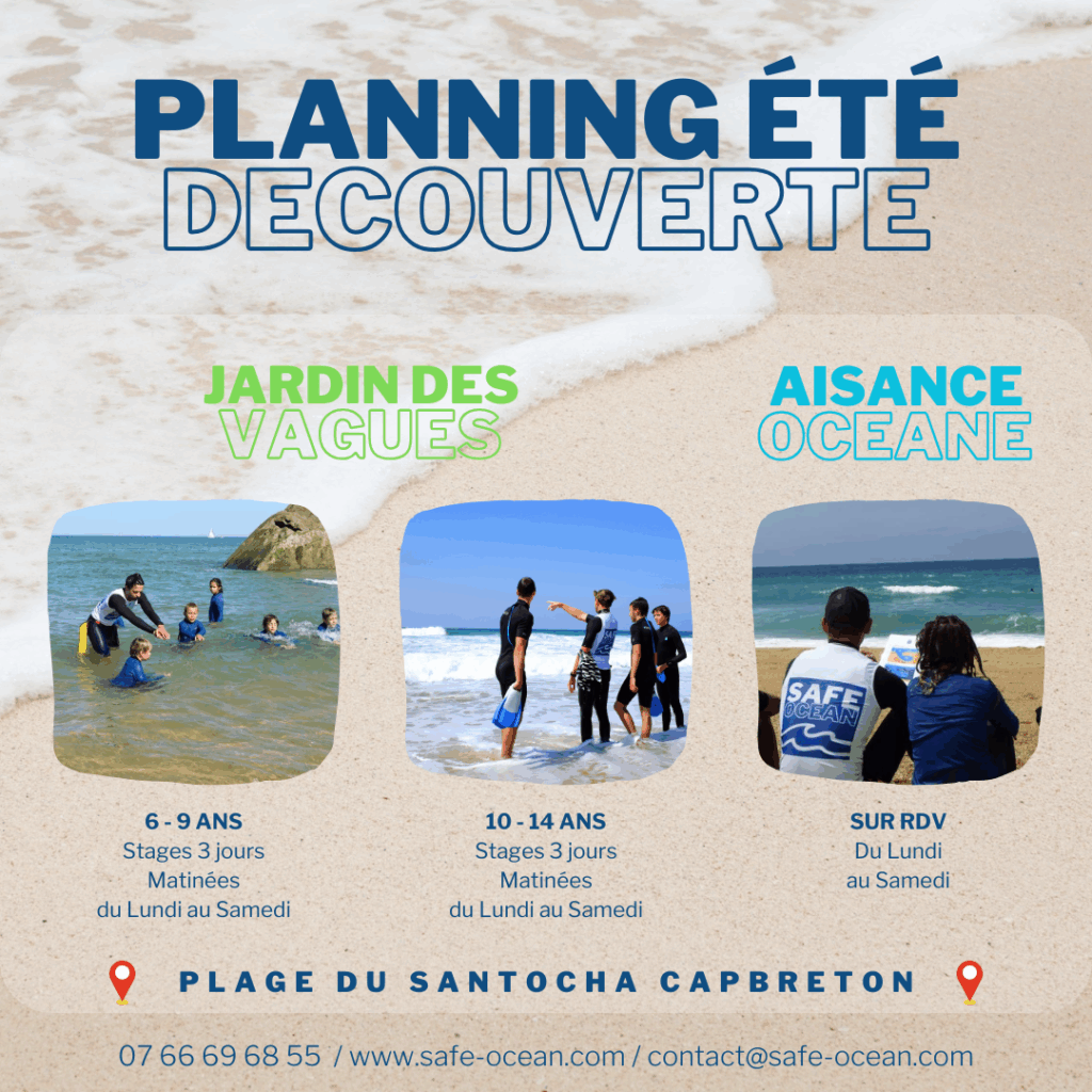 Découvertes océan