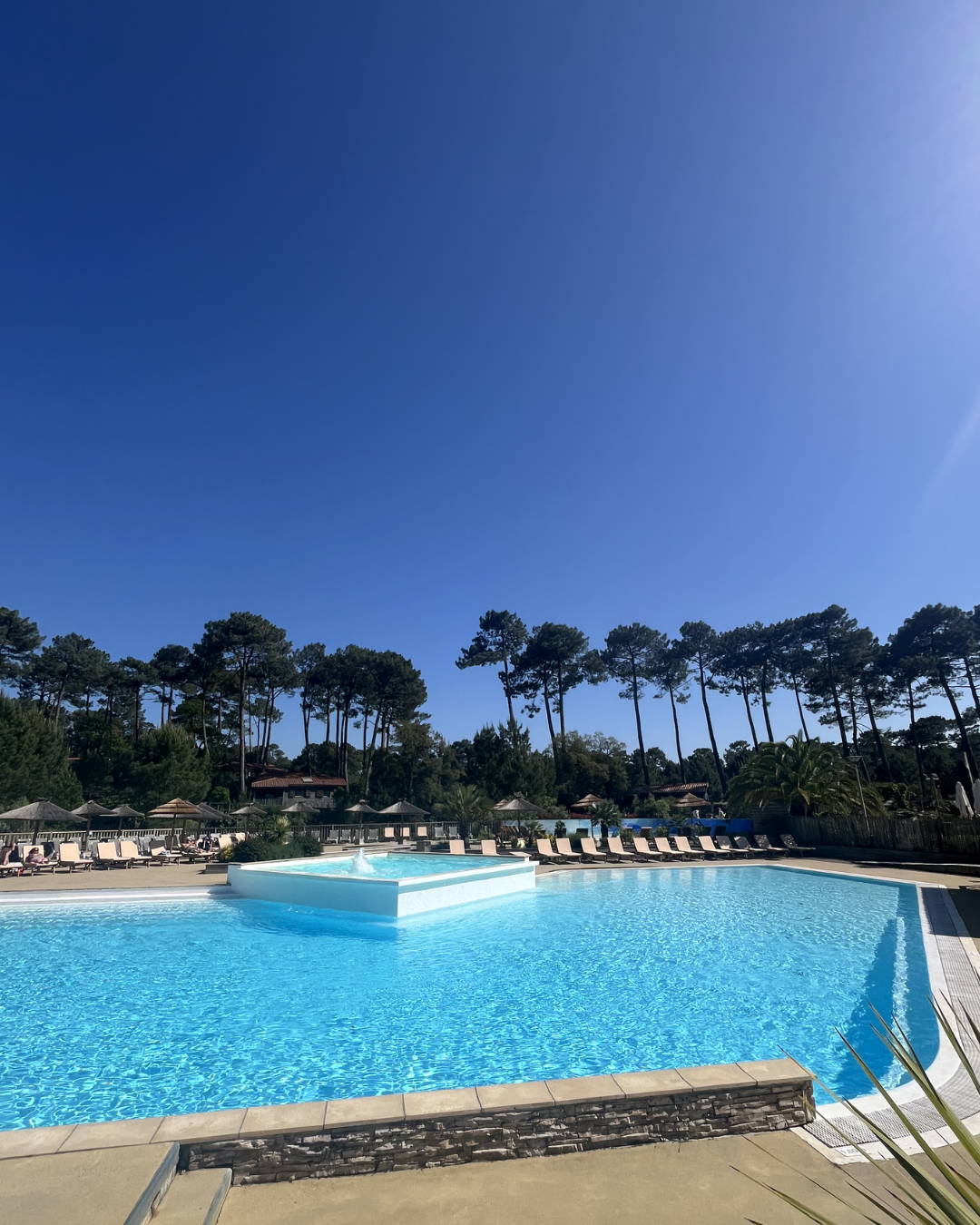 Piscine de l'éco resort à Naturéo